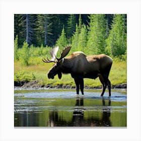 Moose In The River 1 Canvas Print