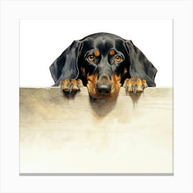 Dachshund 8 Canvas Print