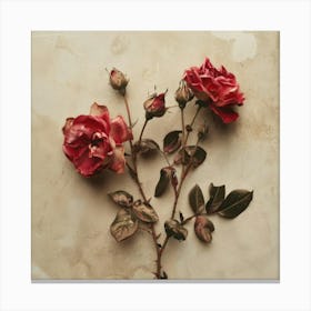 Roses 3 Canvas Print