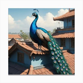 Peacock On Roof Canvas Print