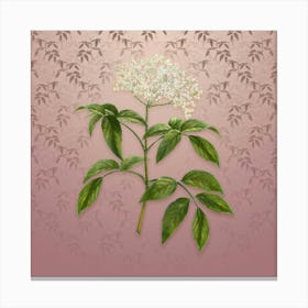 Vintage Elderberry Flowering Plant Botanical on Dusty Pink Pattern n.1108 Canvas Print