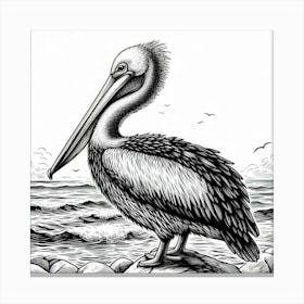 Line Art pelican 1 Canvas Print