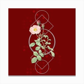 Vintage Sparkling Rose Botanical with Geometric Line Motif and Dot Pattern n.0277 Canvas Print