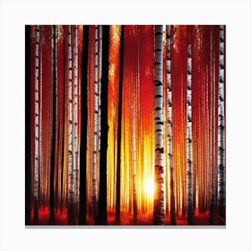 Birch Forest At Sunset Canvas Print