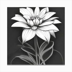 Dahlia Black and White Canvas Print
