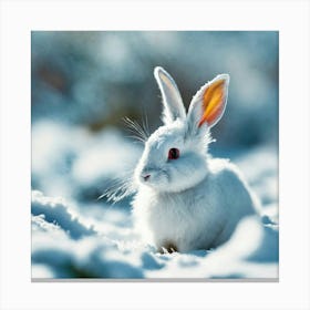 White Rabbit In The Snow 2 Canvas Print