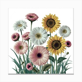 Sunflowers 12 Canvas Print