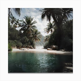 Tropical Beach - Tropical Beach Stock Videos & Royalty-Free Footage Canvas Print