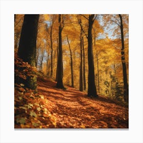 Autumn Forest 9 Canvas Print