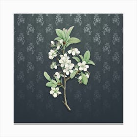 Vintage White Plum Flower Botanical on Slate Gray Pattern Canvas Print