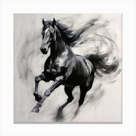 Abstract Charchoalhorseirena Canvas Print