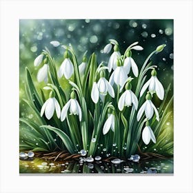 Snowdrops Canvas Print