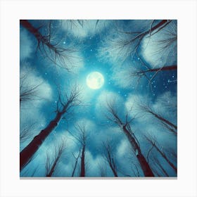 Winter Night In Moonlight Canvas Print