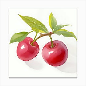 Cherry Canvas Print