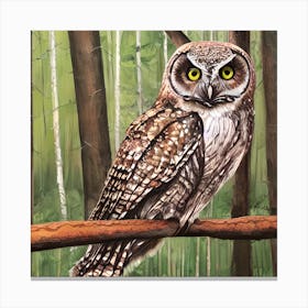 Pretty Owl 2 Canvas Print