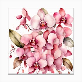 Pattern with pink Orchid flowers Canvas Print