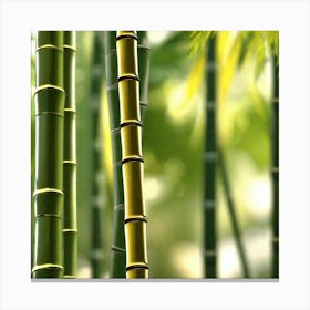 Bamboo Forest 12 Canvas Print