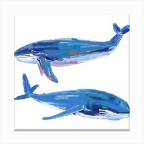 Blue Whale 02 Canvas Print