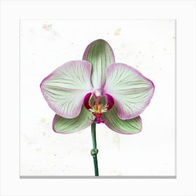 Orchid Flower 1 Canvas Print