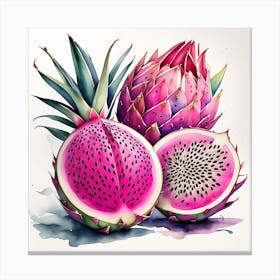 Dragon Fruit Watercolor Illustration Canvas Print