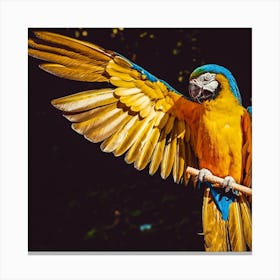 Parrot - Parrot Stock Videos & Royalty-Free Footage Canvas Print