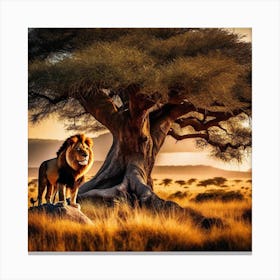 Lion In The Savannah 32 Canvas Print