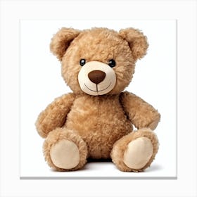 Teddy Bear 4 Canvas Print