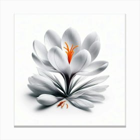 White Saffron Flower Canvas Print