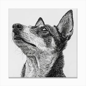 Canaan Dog Line Sketch 3 Canvas Print