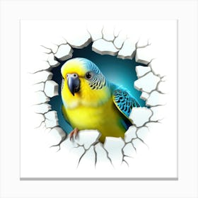 Blue And Yellow Parakeet Canvas Print