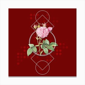 Vintage Pink Agatha Rose Botanical with Geometric Line Motif and Dot Pattern n.0159 Canvas Print