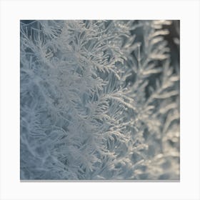 Frosty Branches Canvas Print