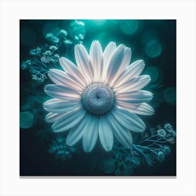 Daisy Flower Macro shot Canvas Print