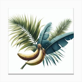 Banana palm 2 Canvas Print