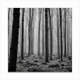 Foggy Forest 9 Canvas Print