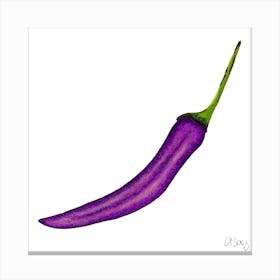 Purple Chili Canvas Print