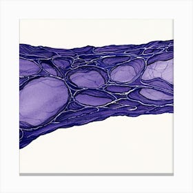 Cell Wall Canvas Print