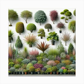 Many Plants In Pots Canvas Print