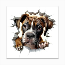 Boxer Dog 3 Canvas Print