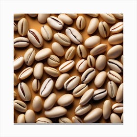 Close Up Of Coffee Beans 9 Canvas Print