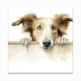 Collie Dog 2 Canvas Print