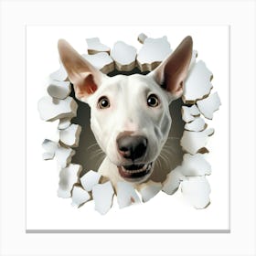 Dog Through A Hole 2 Canvas Print