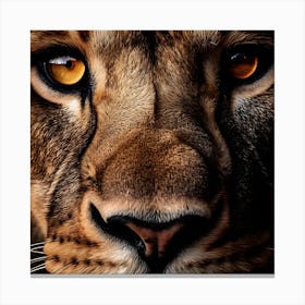 Lion Face Canvas Print