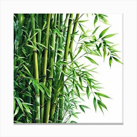 Bamboo Tree Canvas Print