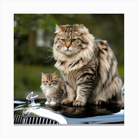 Cat And A Kitten Canvas Print