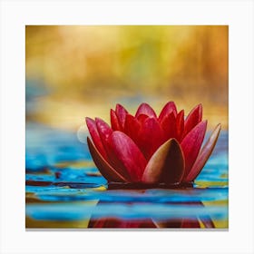 Lotus Flower Canvas Print