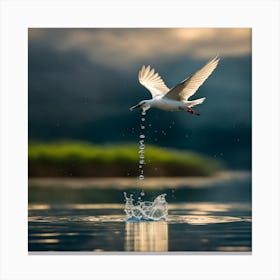 Gull In Flight Canvas Print