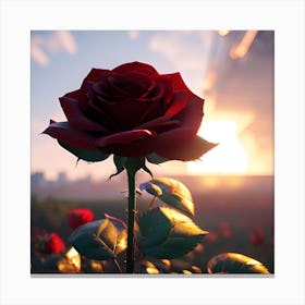 Sunset Rose Canvas Print