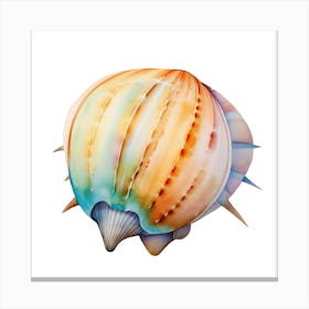 Colorful Seashell Canvas Print