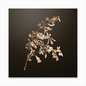 Gold Botanical Caragana Sinica on Chocolate Brown n.4769 Canvas Print